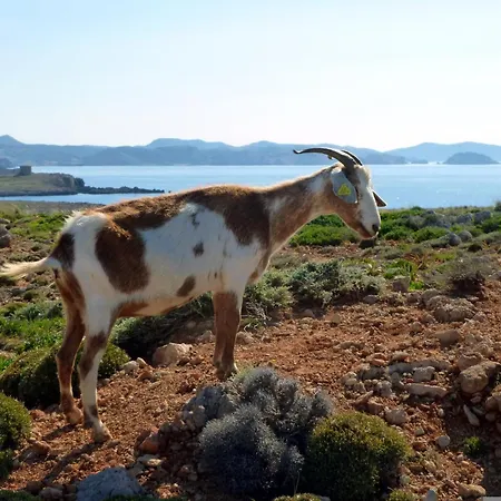 Casa Illote - Well Furnished 3 Bedroom - Great Pool Area 빌라 *