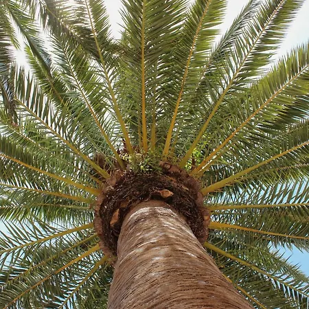 빌라 Casa Illote - Well Furnished 3 Bedroom - Great Pool Area 손 보우