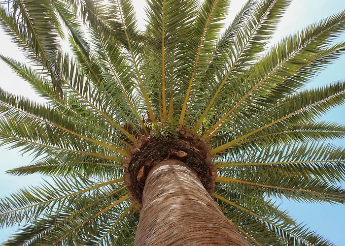 וילה Casa Illote - Well Furnished 3 Bedroom - Great Pool Area סון באו