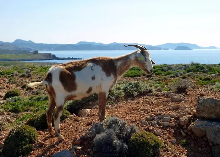 Casa Illote - Well Furnished 3 Bedroom - Great Pool Area Villa *